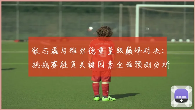 张志磊与维尔德重量级巅峰对决：挑战赛胜负关键因素全面预测分析