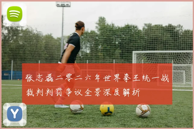 张志磊二零二六年世界拳王统一战裁判判罚争议全景深度解析