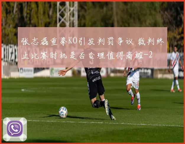 张志磊重拳KO引发判罚争议 裁判终止比赛时机是否合理值得商榷
