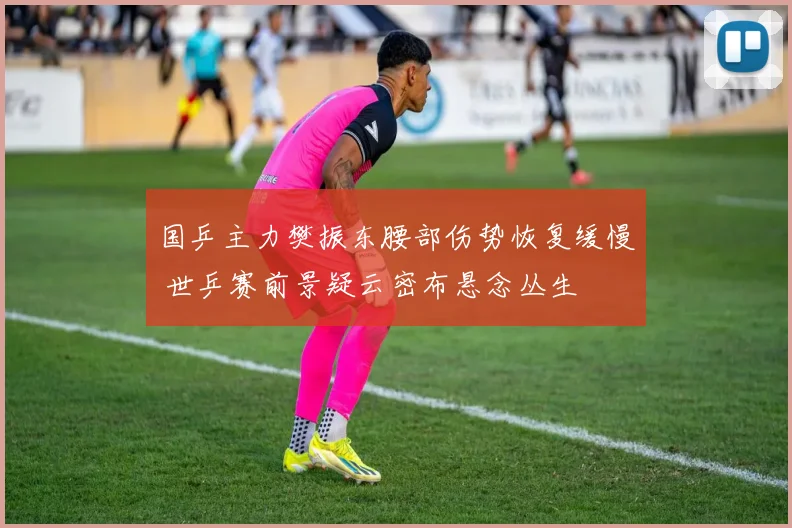 国乒主力樊振东腰部伤势恢复缓慢 世乒赛前景疑云密布悬念丛生