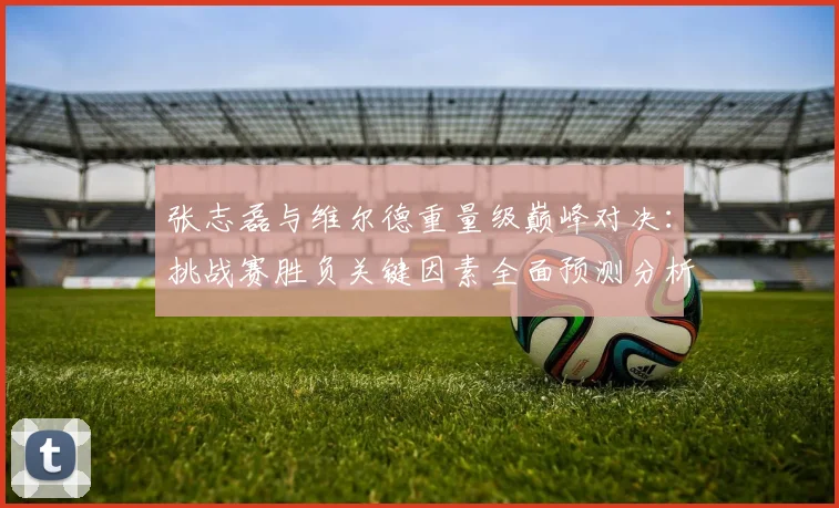 张志磊与维尔德重量级巅峰对决：挑战赛胜负关键因素全面预测分析