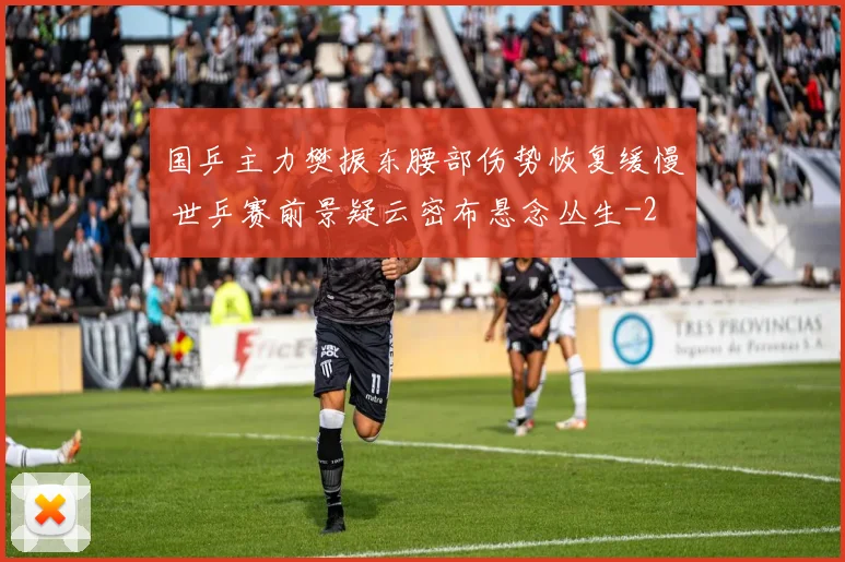 国乒主力樊振东腰部伤势恢复缓慢 世乒赛前景疑云密布悬念丛生